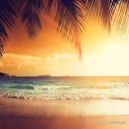 Tony Warrior Tropical Cheers [WAV] - Sample Pack Artwork