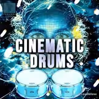Toolbox Samples Cinematic Drums [WAV]
