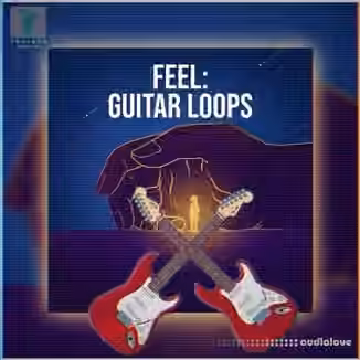 Toolbox Samples Feel Guitar Loops [WAV]