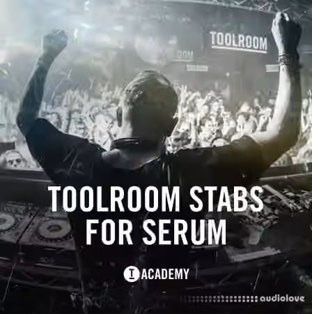 Toolroom Stabs For Serum [Synth Presets] - Sample Pack Artwork