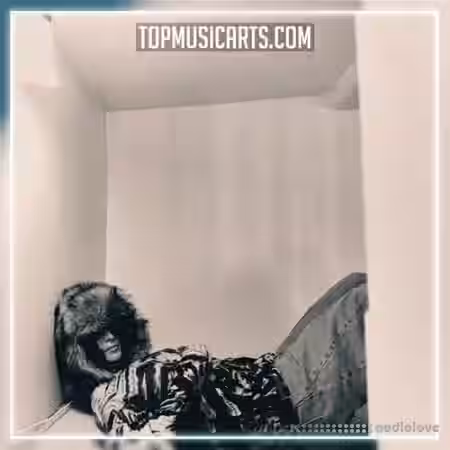 Top Music Arts Carlita See It As A Sign (feat. Myd) Ableton Remake (Electronic) [DAW Templates] - Sample Pack Artwork