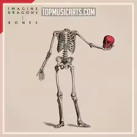 Top Music Arts Imagine Dragons Bones Ableton Remake (Pop) [DAW Templates]