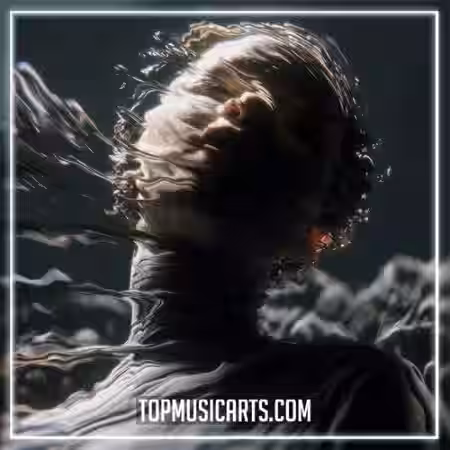 Top Music Arts Tiësto and Mathame Everlight Ableton Remake (Trance) [DAW Templates] - Sample Pack Artwork