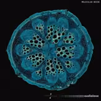 Touch Loops Molecular Noise [WAV]