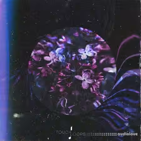 Touch Loops Organic House [WAV, MiDi] - Sample Pack Artwork