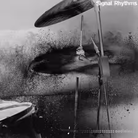 Touch Loops Signal Rhythms [WAV] - Sample Pack Artwork