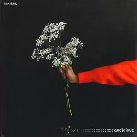 Touch Loops Silk Soul [WAV, MiDi] - Sample Pack Artwork