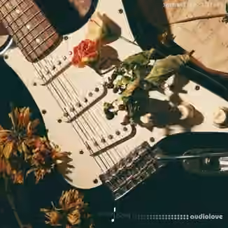 Touch Loops Songwriter Guitars [WAV]
