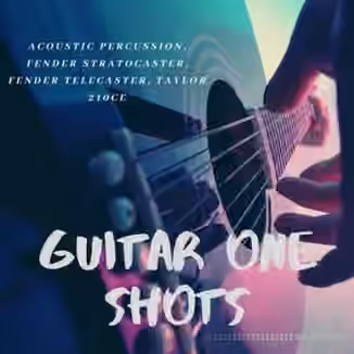 Toxic Samples Guitar One Shots [WAV]