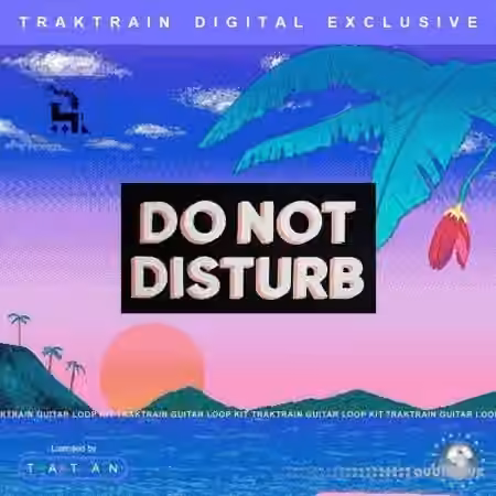 TrakTrain Do Not Disturb Guitar Loop Kit [WAV] - Sample Pack Artwork