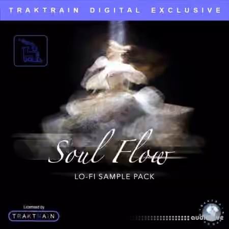 TrakTrain Soul Flow Lo-Fi Sample Pack [WAV] - Sample Pack Artwork