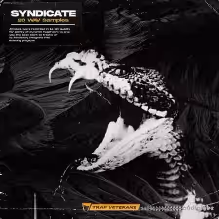 Trap Veterans Syndicate [WAV] - Sample Pack Artwork