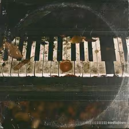Tropics Experimental Pianos [WAV]