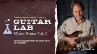Truefire Brad Carlton's Guitar Lab: Minor Blues Vol.3 [TUTORiAL]