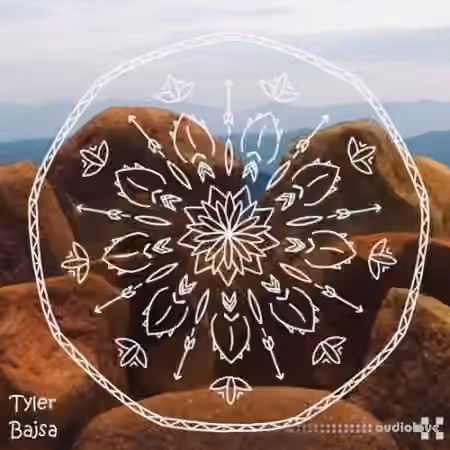 Tyler Bajsa The Canyon [KONTAKT] - Sample Pack Artwork