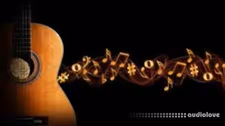 Udemy Practical Music Theory 101 For Guitar [TUTORiAL] - Sample Pack Artwork