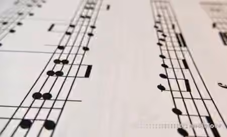 Udemy Read and Feel Musical Rhythms Like a Pro [TUTORiAL] - Sample Pack Artwork