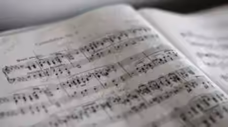Udemy Secret Language Of Music The Grand Staff [TUTORiAL] - Sample Pack Artwork