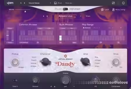 UJAM Virtual Bassist Dandy v2.3.0 Fixed [WiN] - Sample Pack Artwork