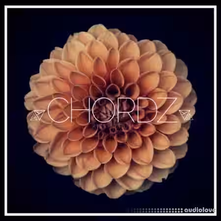 Unmute Chordz Kits [WAV, MiDi, Synth Presets] - Sample Pack Artwork