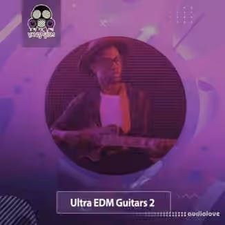 Vandalism Ultra EDM Guitars 2 [WAV]