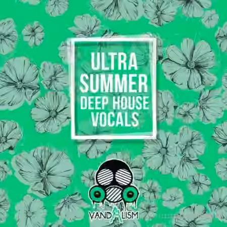 Vandalism Ultra Summer Deep House Vocals [WAV] - Sample Pack Artwork