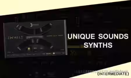 Vandalism Unique Sounds: Synths [TUTORiAL] - Sample Pack Artwork