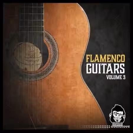Vanilla Groove Studios Flamenco Guitars Vol.3 [WAV] - Sample Pack Artwork