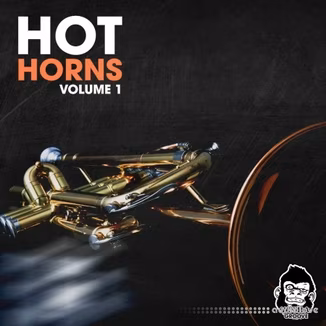 Vanilla Groove Studios Hot Horns Vol 1 [WAV]