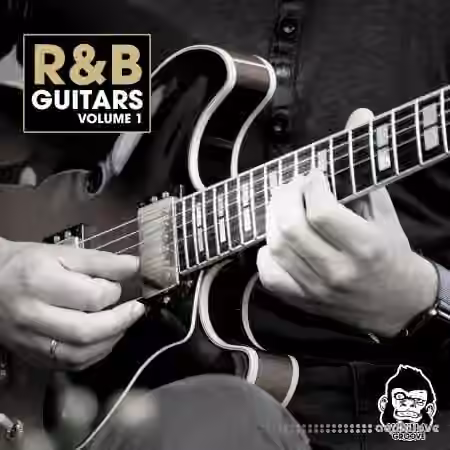 Vanilla Groove Studios RnB Guitars Vol.1 [WAV] - Sample Pack Artwork