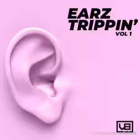 Vb Got Heat Earz Trippin [WAV, MiDi] - Sample Pack Artwork