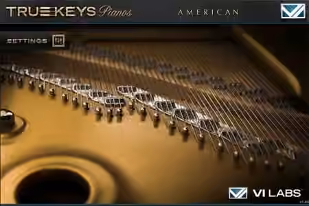 VI Labs True Keys American [Falcon] - Sample Pack Artwork