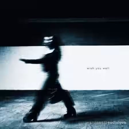 Victor Tran Wish You Well (Compositions and Stems) [WAV] - Sample Pack Artwork