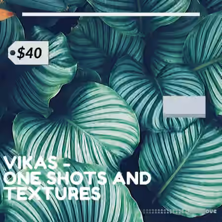 Vikas One Shots +Textures Vol.1 [WAV] - Sample Pack Artwork