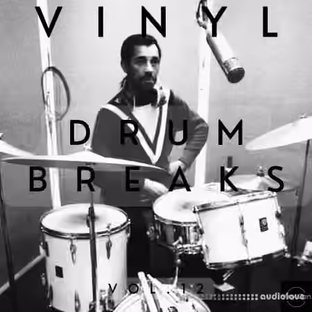 Vinyl Zen Vinyl Drum Breaks Vol.12 (22 Drum Breaks Perfectly Looped) [WAV]