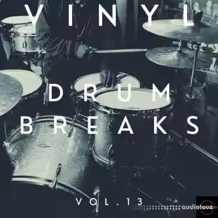 Vinyl Zen Vinyl Drum Breaks Vol.13 (22 Drum Breaks Perfectly Looped) [WAV]