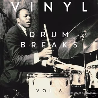 Vinyl Zen Vinyl Drum Breaks Vol.6 (22 Drum Breaks Perfectly Looped) [WAV]