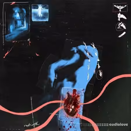 VisionEXE re ΓêòΓêò birth (Creative Kit) [WAV, TUTORiAL] - Sample Pack Artwork