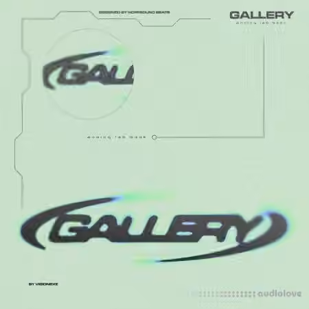 VisionEXE's gallery [ Analog Lab 5 Bank ] [Synth Presets] - Sample Pack Artwork