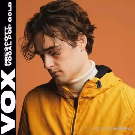 VOX Prescot Vocal Pop Gold [WAV] - Sample Pack Artwork