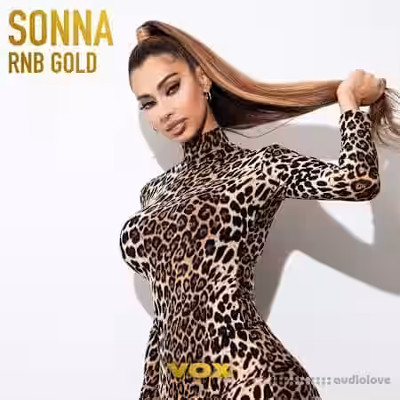 Vox Sonna Rnb Gold [WAV] - Sample Pack Artwork
