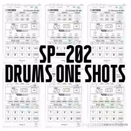 vubeatz Sp202 Drums One Shots [WAV] - Sample Pack Artwork