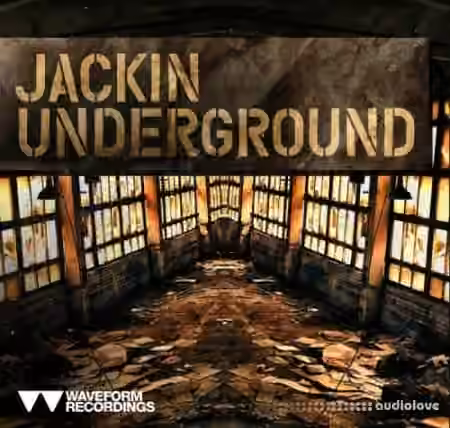 Waveform Recordings Jackin Underground [WAV] - Sample Pack Artwork