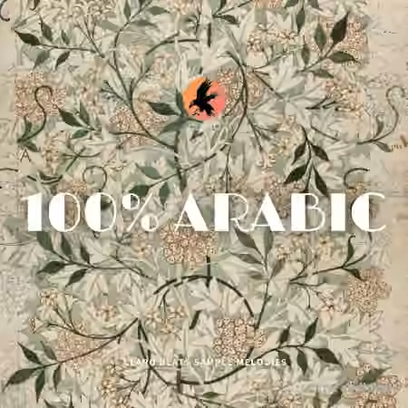 WAVS Claro Beats 100% Arabic [WAV] - Sample Pack Artwork