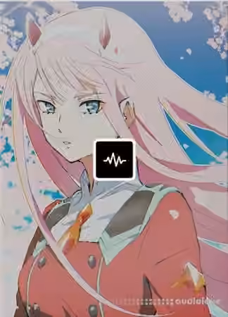 WavSupply boyband Waifu (Omnisphere Bank) [Synth Presets] - Sample Pack Artwork