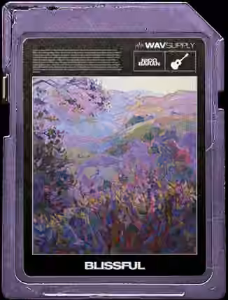 WavSupply Nico Baran Blissful (Guitar Loop Kit) [WAV]