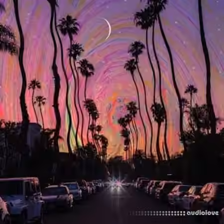WavSupply nico baran Paris Vol.2 (Loop Kit) [WAV] - Sample Pack Artwork