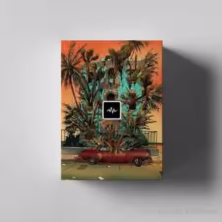 WavSupply Repko Dragonfruit Drum Kit [WAV] - Sample Pack Artwork