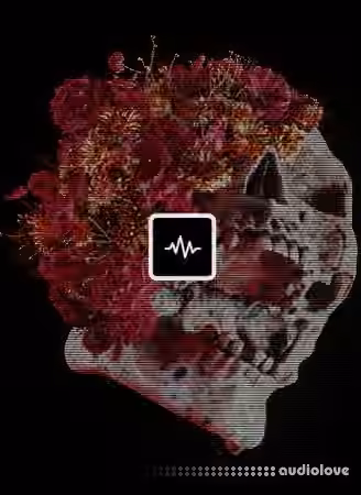 WavSupply Sidepce Stigma Vol.2 [WAV] - Sample Pack Artwork
