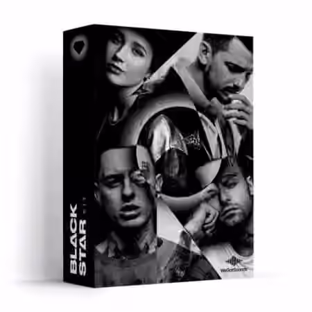 We Got Sounds Black Star Drum Kit Vol.3 [WAV] - Sample Pack Artwork